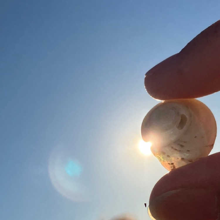 50代の身体を変えるダイエット|豊橋ダイエット